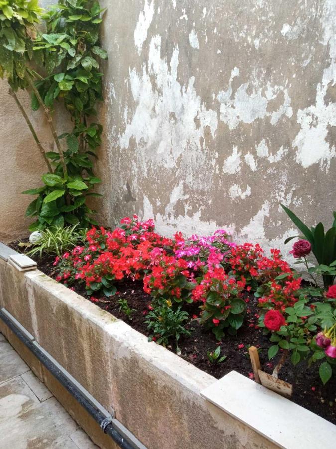 Rooms Zela 1 Κόρτσουλα Εξωτερικό φωτογραφία